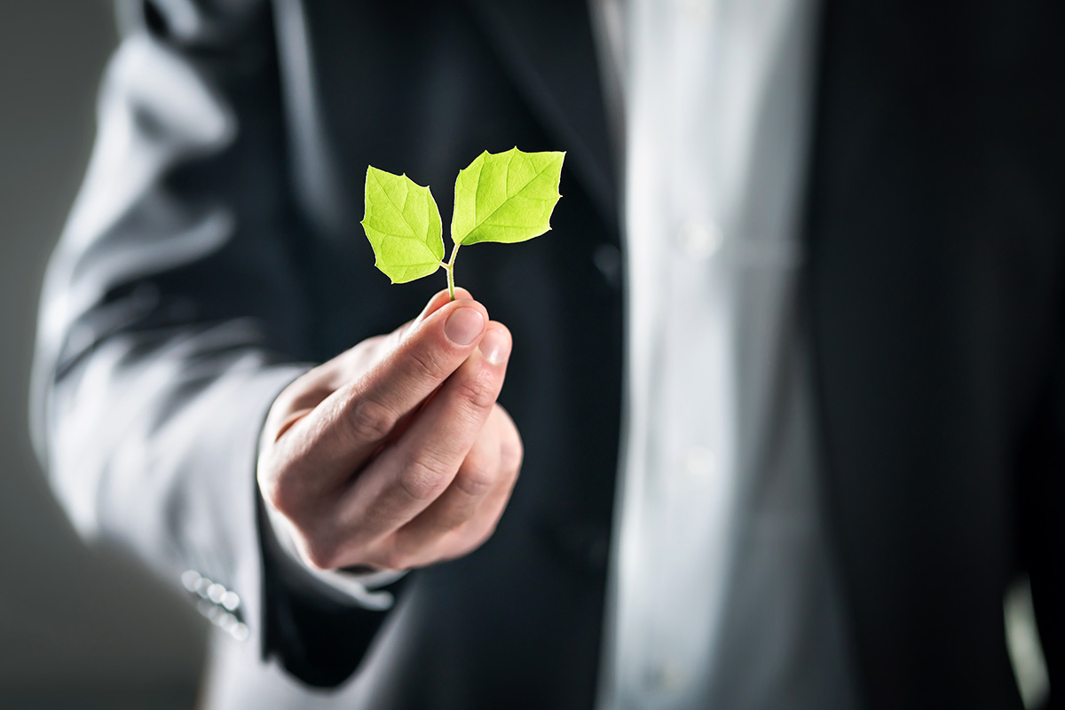 ABS Africa Services Environmental law