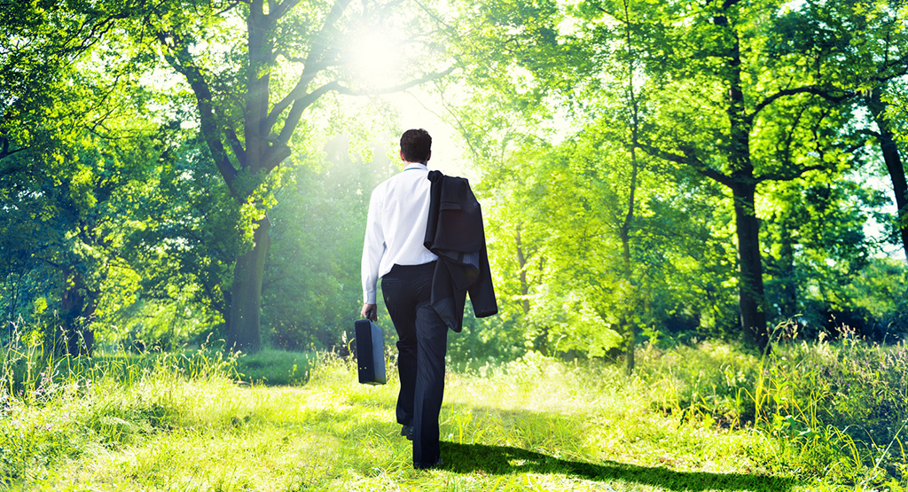 sustainable development specialists